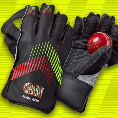 Wicket Keeping Gloves